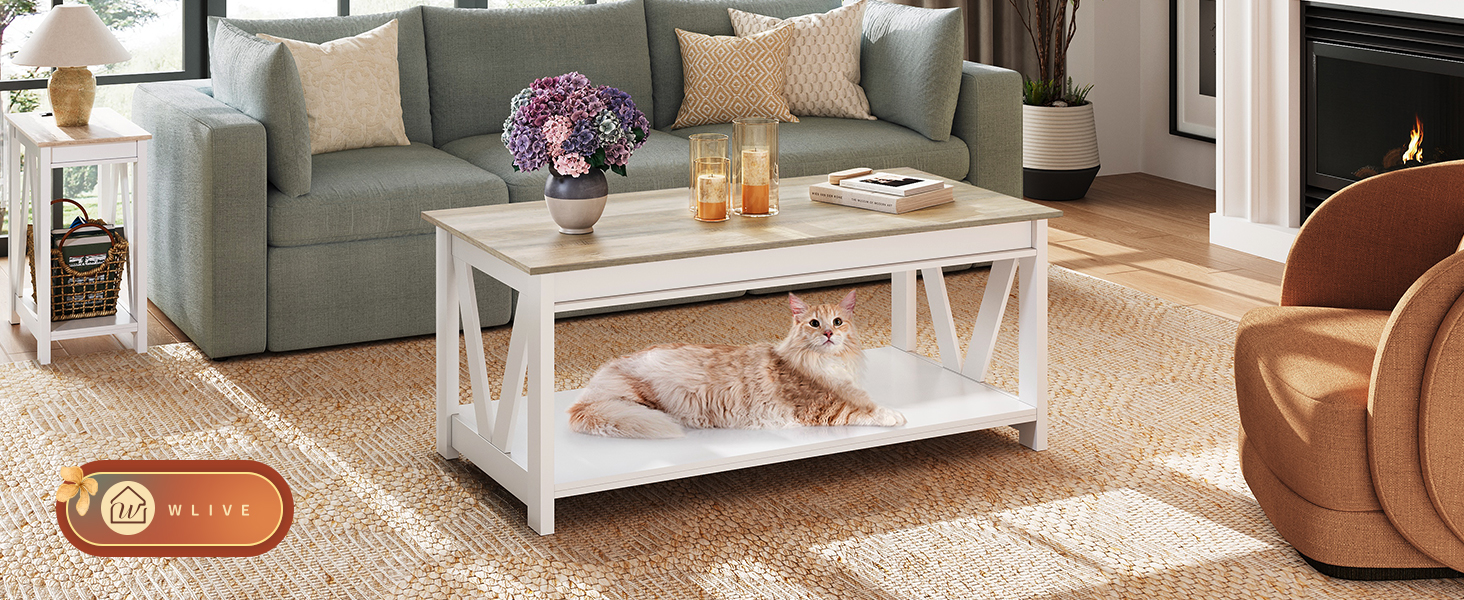Amazon.com: WLIVE Coffee Table, 43